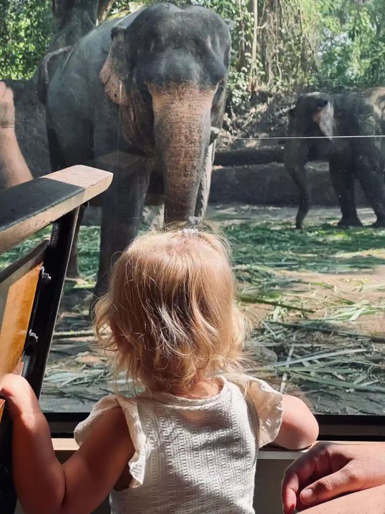 Kids watching elephant in Bali Safari Park on a Family Trip