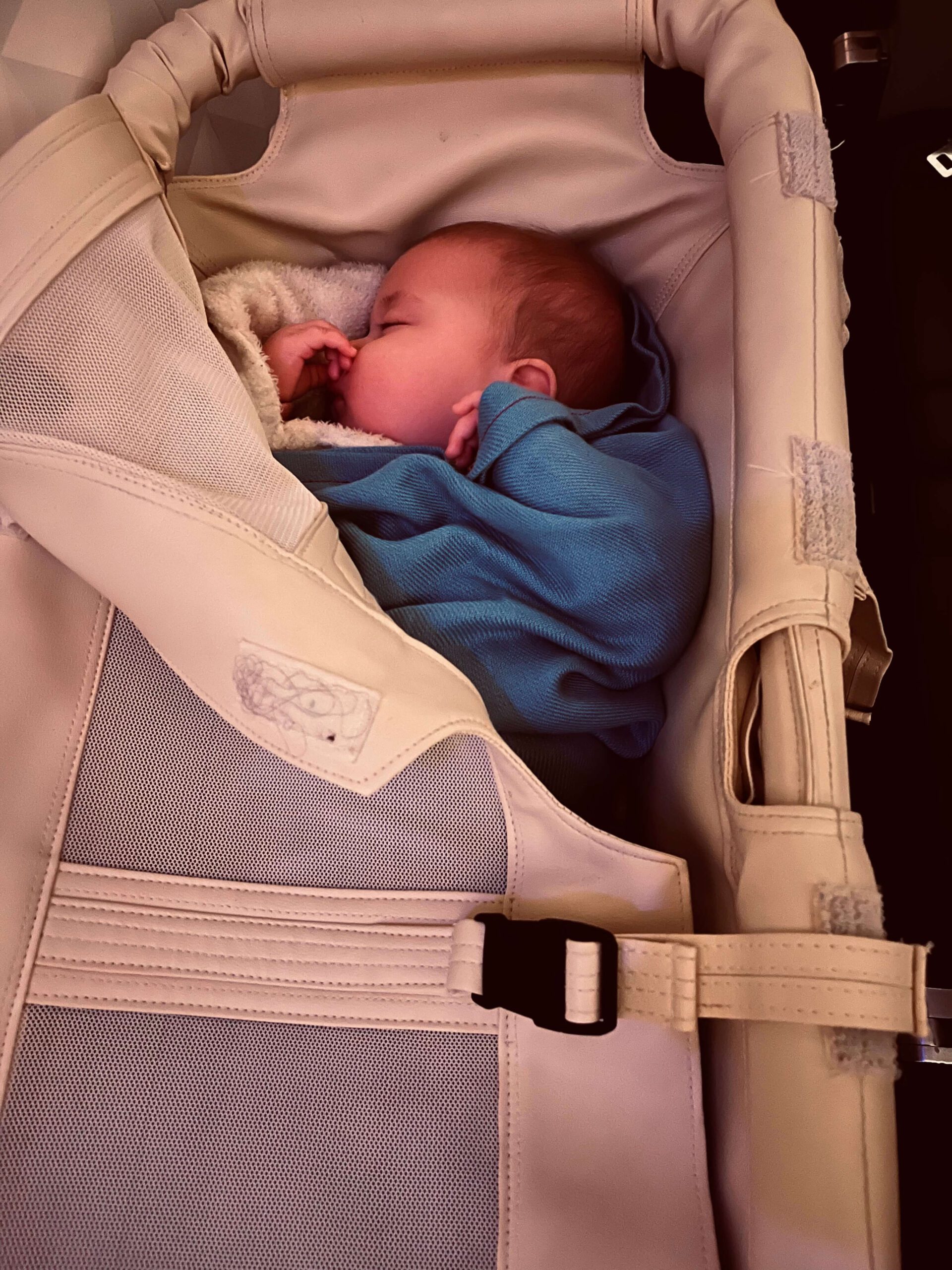 Baby sleeping in bassinet in airplane