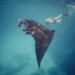 Swimming with Manta's on Nusa Penida, only suitable for older kids