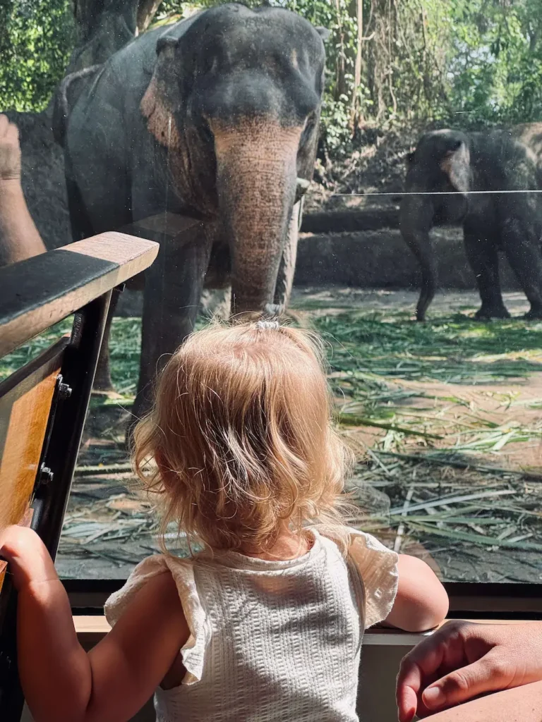 Kids watching elephant in Bali Safari Park on a Family Trip