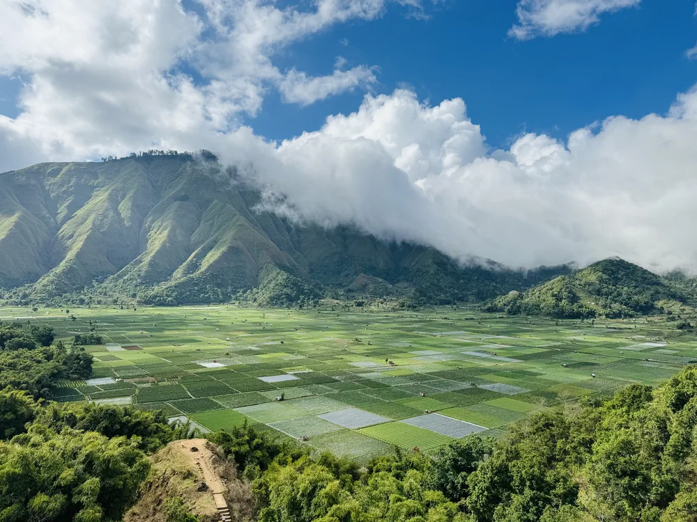 Bukit Selong uitkijkpunt bezoeken met kinderen