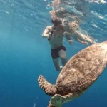 Snorkeling with turtles while kids are watching from the boat on Gili Trawangan