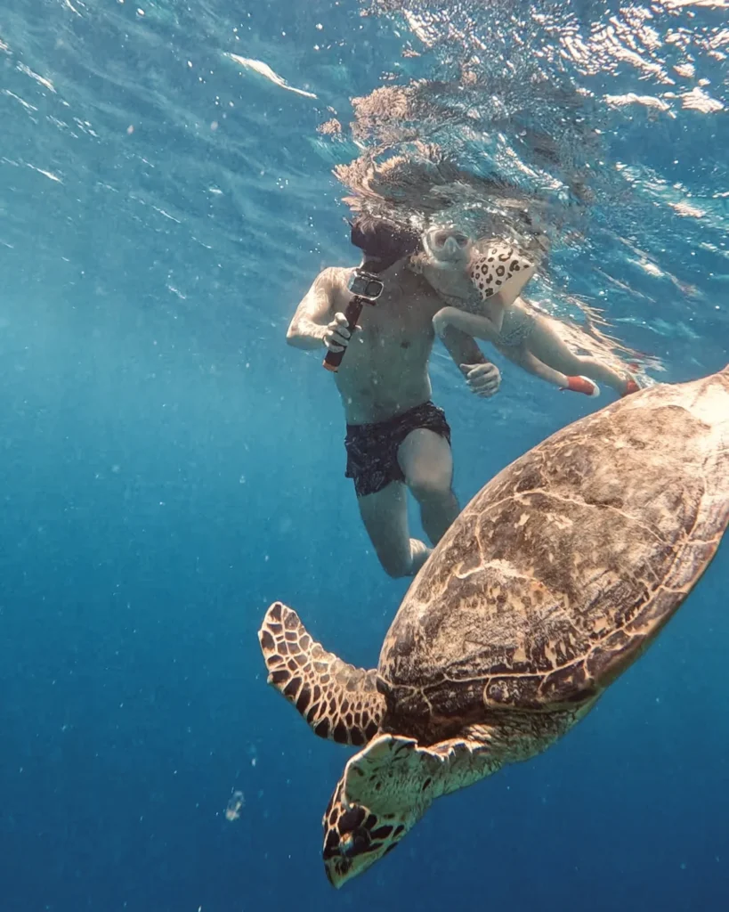 Snorkeling with kids on Gili islands and seeing turtles for the first time