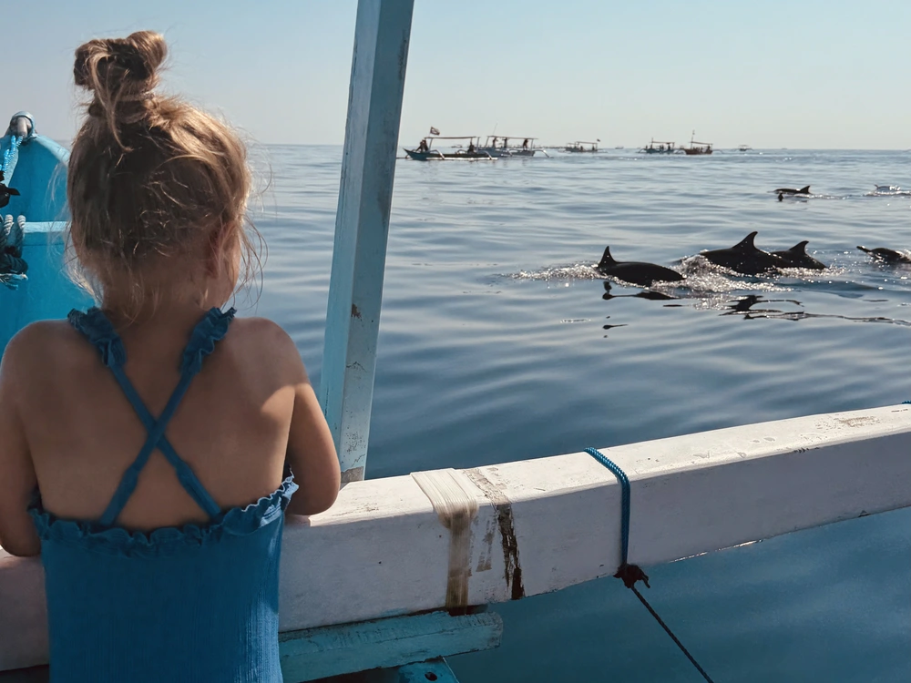 Dolphin tour in Lovina with kids, watching from the boat