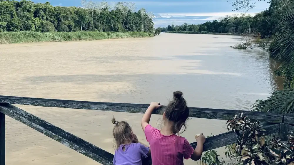 Borneo Natural Sukau Bilit Resort View from restaurants