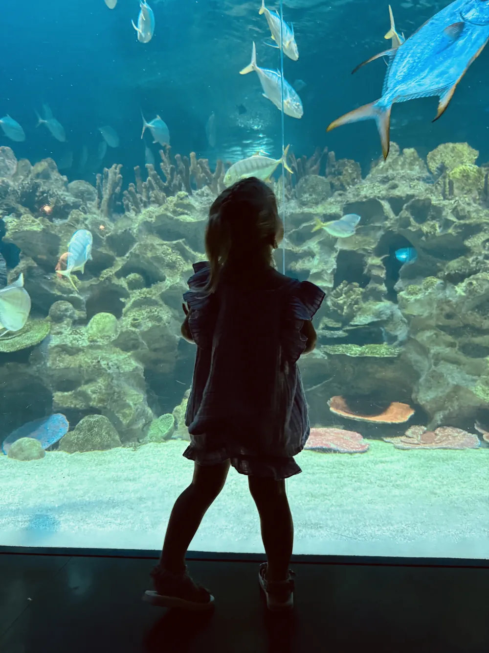 Aquarium bezoeken met kinderen in Kuala Lumpur