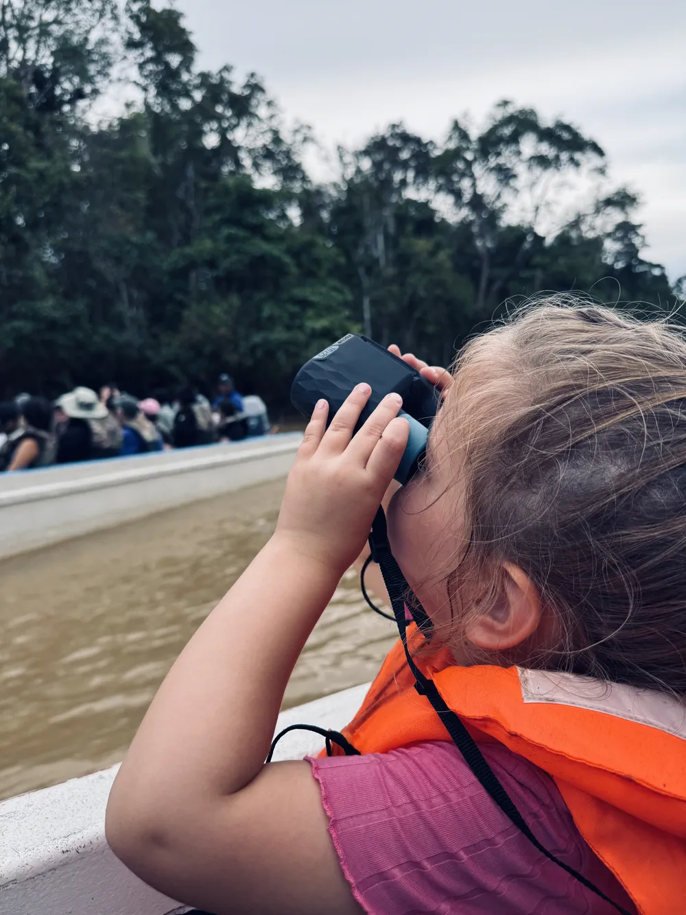 Searching for orangutans on the kinabatangan river with kids