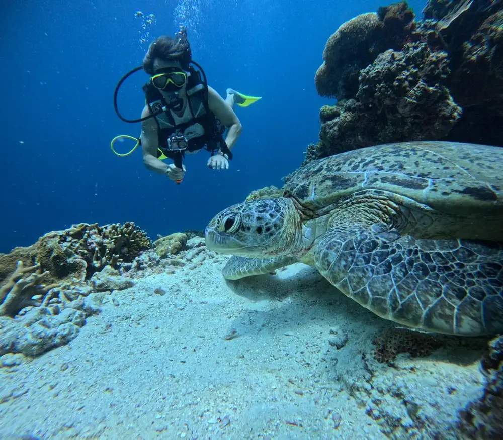 Scuba diving, whikle on a family holoday
