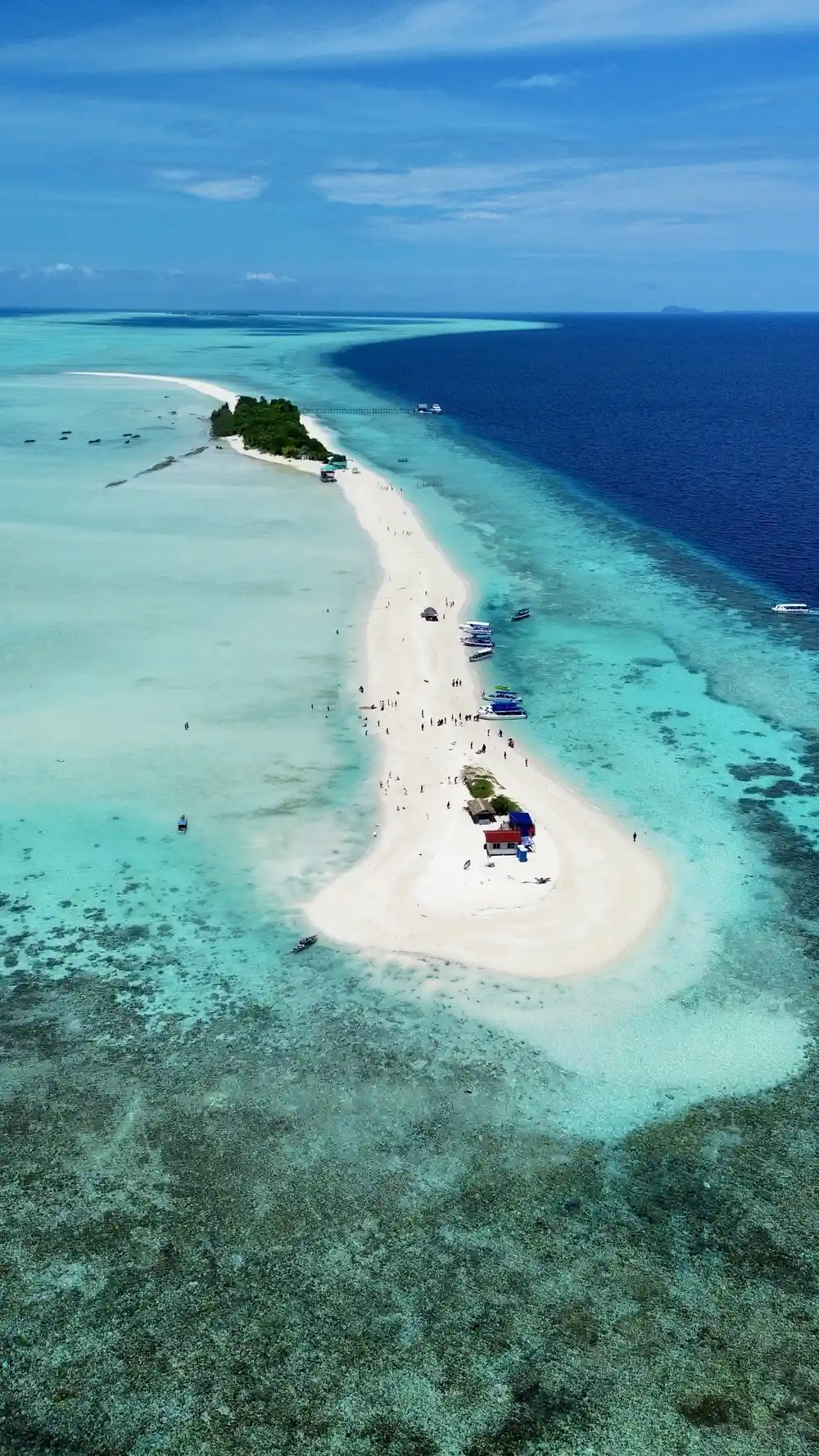 Orangutan at Sepilok Orangutan Rehabilitation Centre with kids in Sabah, Borneo