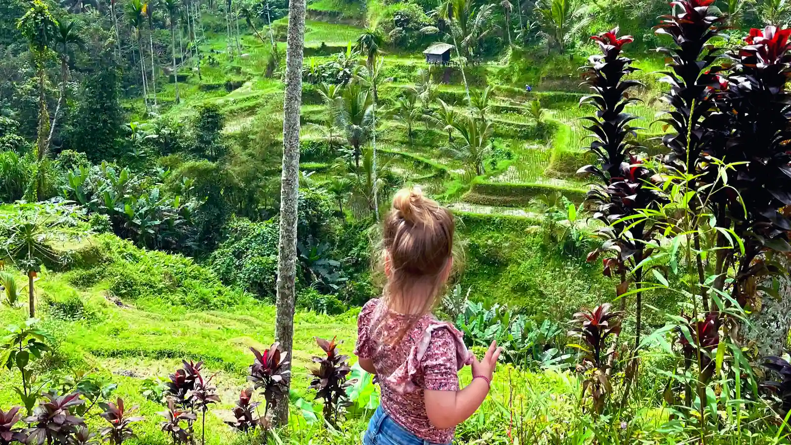 Jatiluwih rijstvelden met kinderen, dagtrip vanuit Ubud<br>