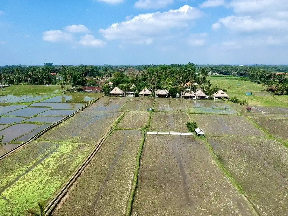 Staying in a villa with private pool in Ubud with kids