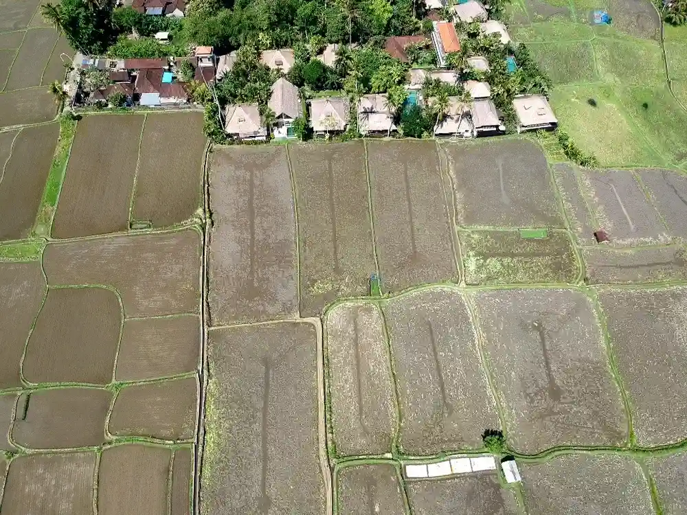 Enjoying the view of our private pool villain Ubud with kids