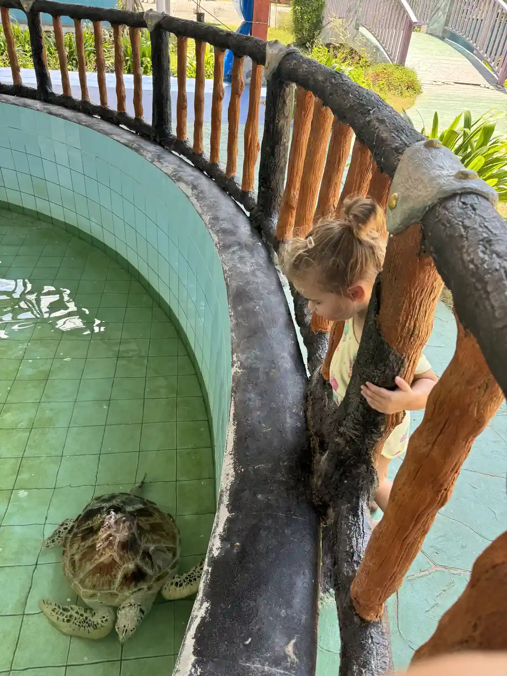 Kinderen kijken naar schildpadden in Khao Lak, Thailand