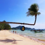 Sairee Beach Koh Tao Thailand with family-friendly tropical shoreline