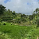 Kids playing at Selong Belanak Beach in Lombok