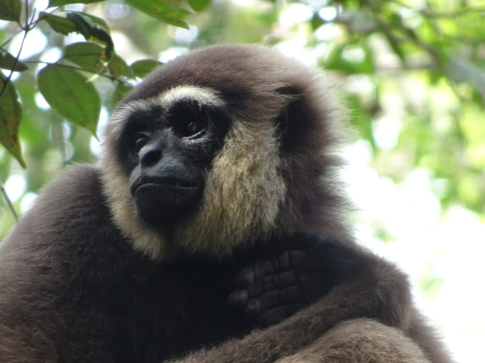 Tropical beach in Banyak Islands Sumatra Indonesia