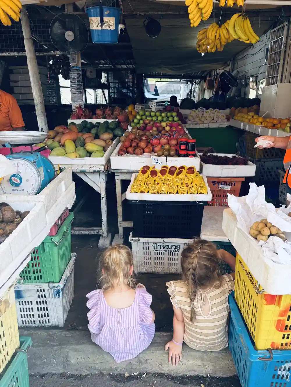 kids choosing tropical fruit at a street market during a Malaysia itinerary with kids