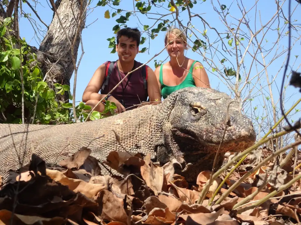 Adults near Komodo dragon Komodo National Park Indonesia