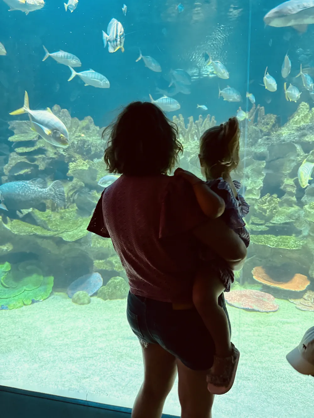 mother and daughter watching fish at Aquaria KLCC in Kuala Lumpur Malaysia with kids