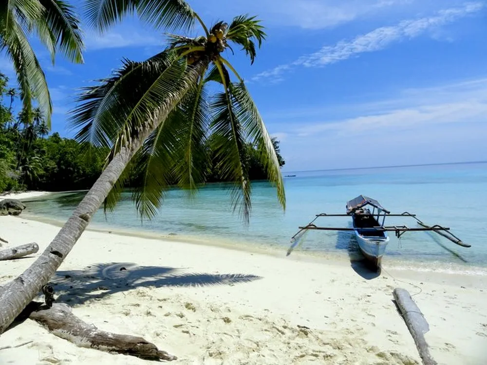 Beach on Malenge Island Togean Islands Sulawesi