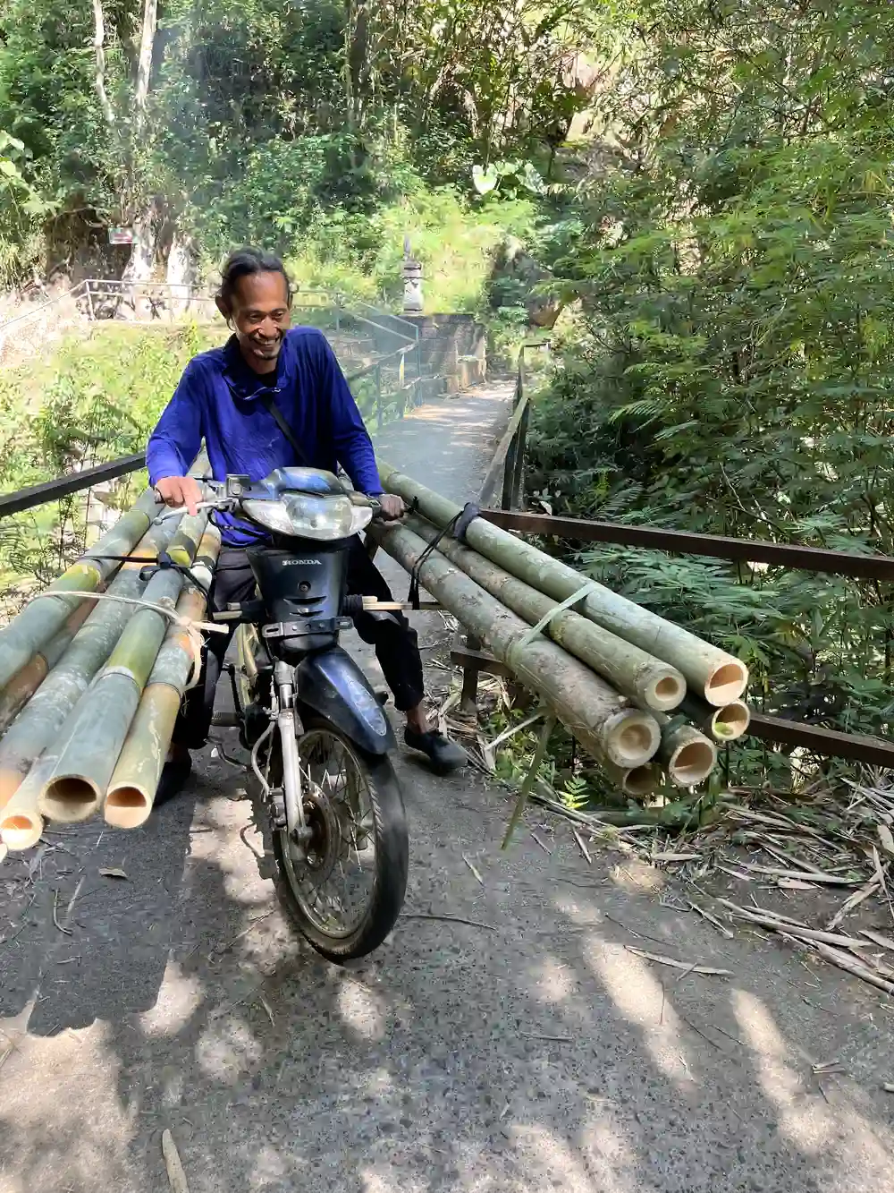 Local transporting bamboo on a scooter in Bali