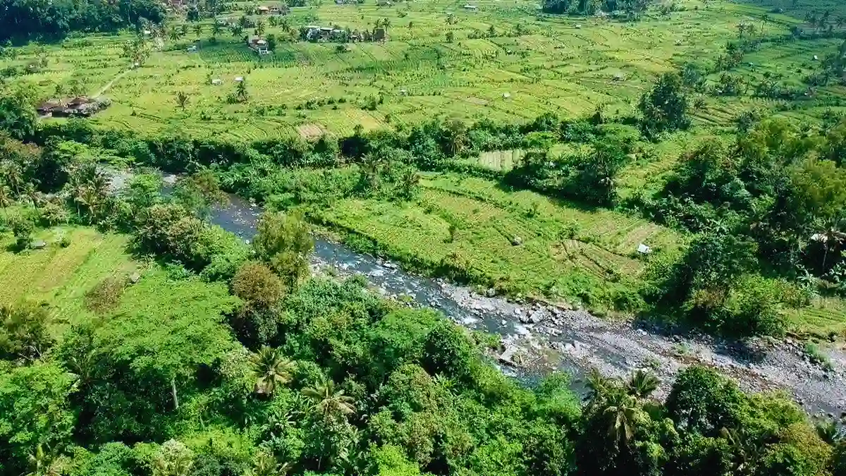 River in Ubud Bali surrounded by jungle nature family travel 