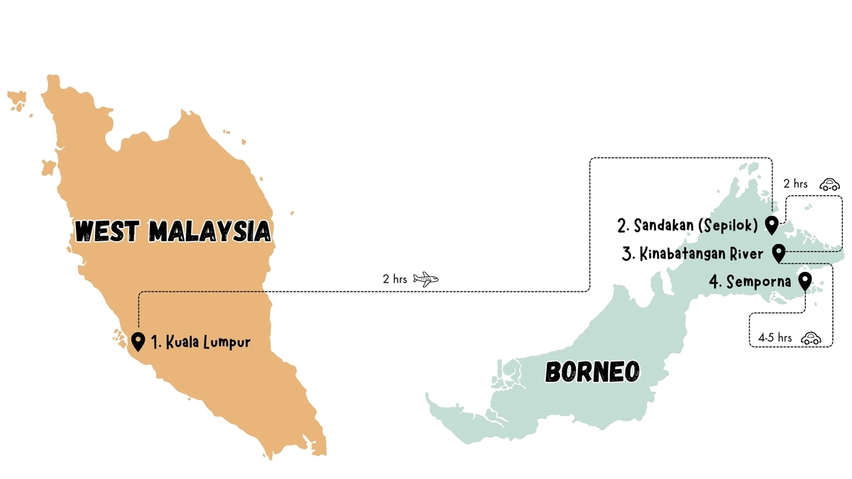 Family wildlife itinerary through Malaysian Borneo, including Sepilok, Kinabatangan and Semporna