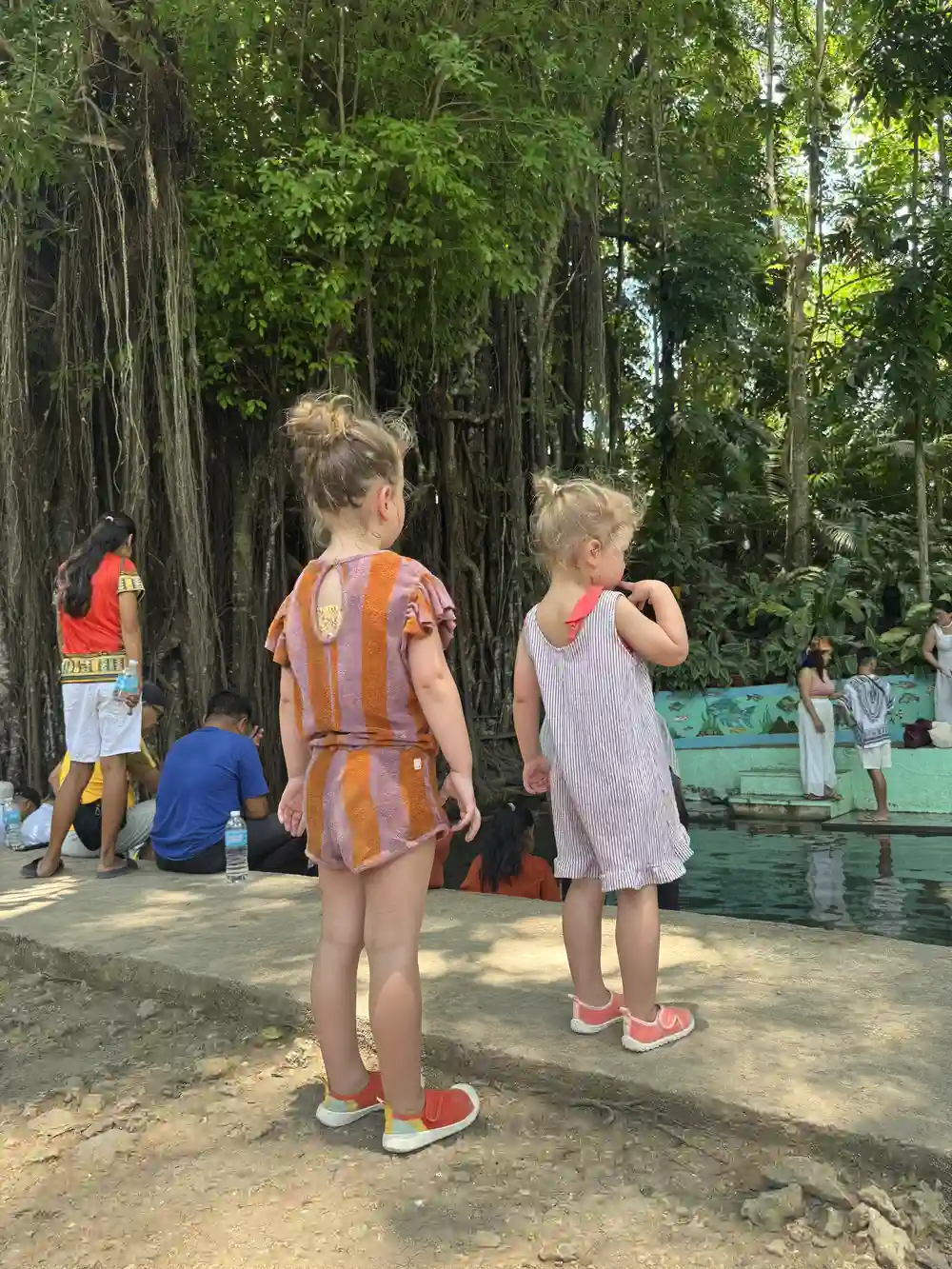 Kids watching the fish at the Balete Tree fish spa in Siquijor