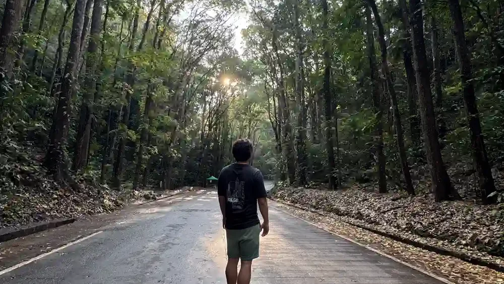 Our family exploring the Man-Made Forest in Bohol